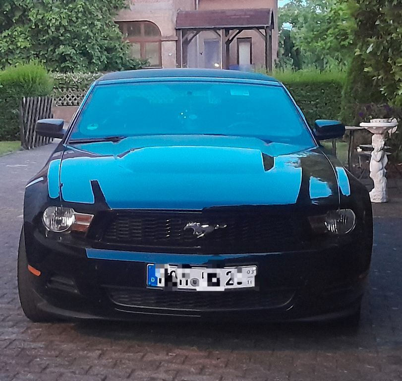 Mustang