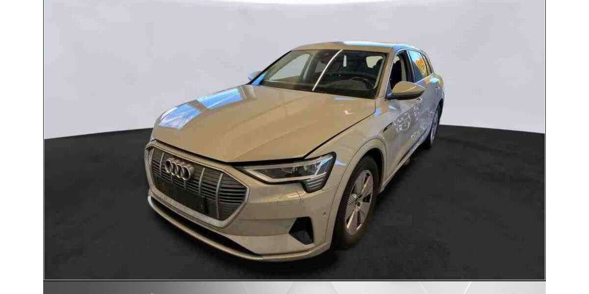 Audi e-tron 82.000 km 26.470 &euro; Helmstedt 38350
