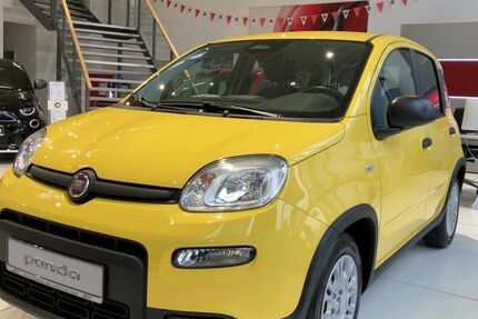 Fiat Panda 2.100 km 12.689 &euro; Frankfurt/Oder 15234