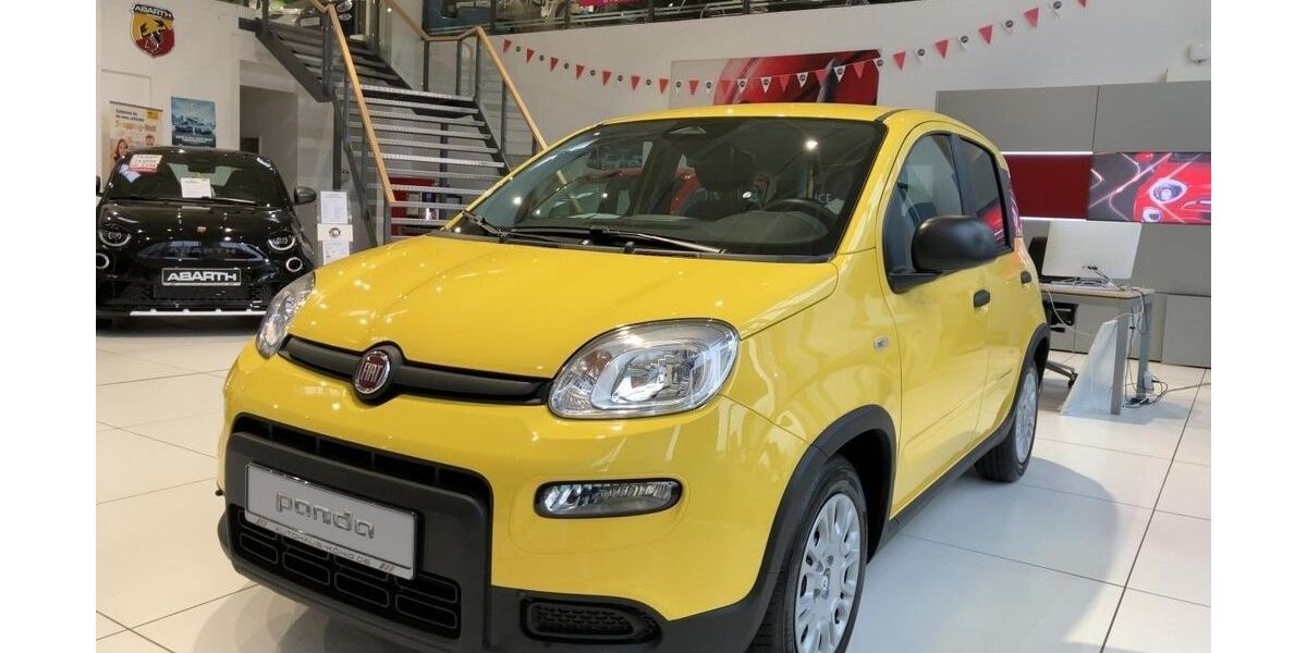 Fiat Panda 2.100 km 12.689 &euro; Frankfurt/Oder 15234