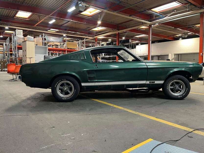 Mustang