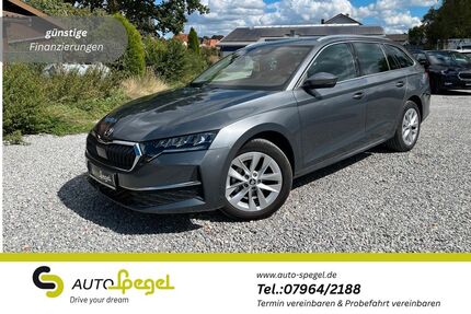 Skoda Octavia 30.819 km 27.490 &euro; Tannhausen 73497