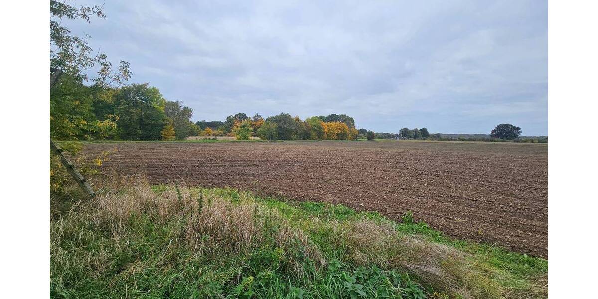 Grundstück Muldestausee Schlaitz - 350.000&euro; | Angebot:25916711