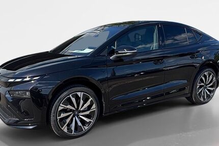 Skoda Enyaq 10.000 km 49.485 &euro; Offenbach am Main 63075