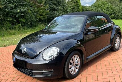 VW Beetle