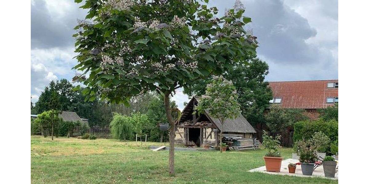 Mehrfamilienhaus, Wohnhaus Luckau Zöllmersdorf - 3 Zimmer, 900 m&sup2;, 789.000&euro; | Angebot:26932673