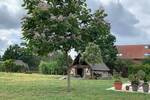 Mehrfamilienhaus, Wohnhaus Luckau Zöllmersdorf - 3 Zimmer, 900 m&sup2;, 789.000&euro; | Angebot:26932673
