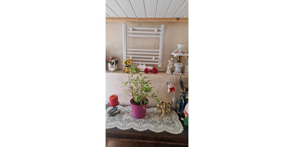 Bungalow Gifhorn - 4 Zimmer, 80 m&sup2;, 133.000&euro; | Angebot:27137888