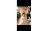 Doppelhaushälfte Mossautal - 4 Zimmer, 120 m&sup2;, 299.000&euro; | Angebot:27121044