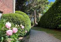 Wohnung zum Mieten in Kiel 350 € 25 m²