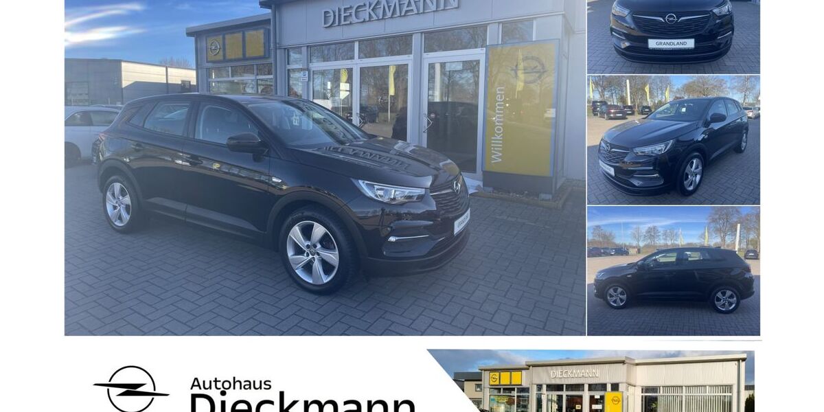 Opel Grandland (X) 68.155 km 14.940 &euro; Worpswede 27726