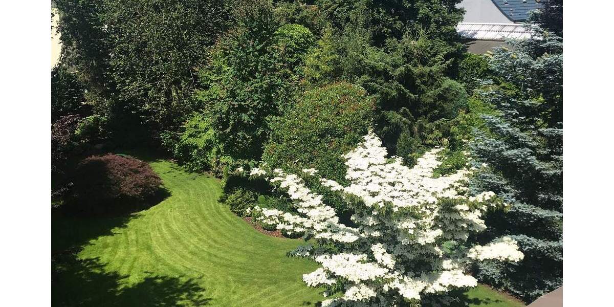 Mehrfamilienhaus, Wohnhaus Viersen Stadtmitte - 1 Zimmer, 428 m&sup2;, 1.185.000&euro; | Angebot:25702089