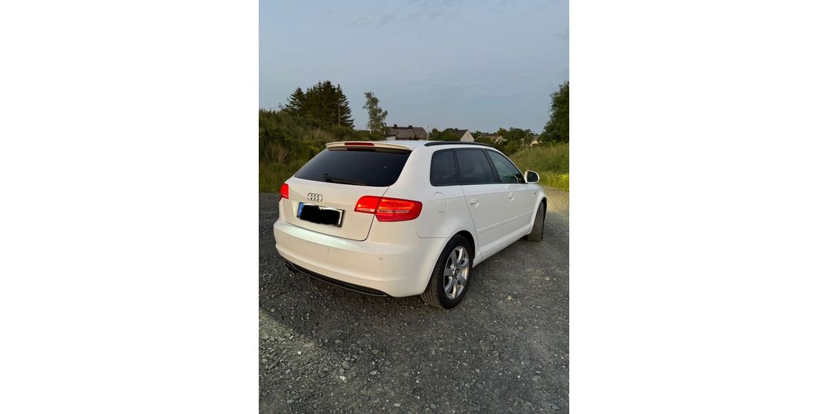 Audi A3 197.000 km 5.200 &euro; hof 95028