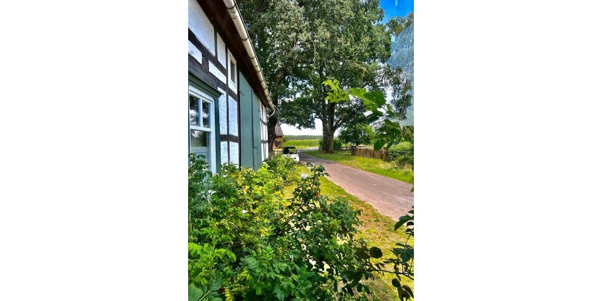 Bauernhaus, Landhaus Trebel - 5.5 Zimmer, 125 m&sup2;, 1.375&euro; | Angebot:26329960