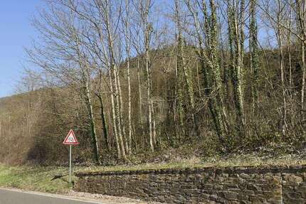 Grundstück Bullay - 49.500&euro; | Angebot:25782008