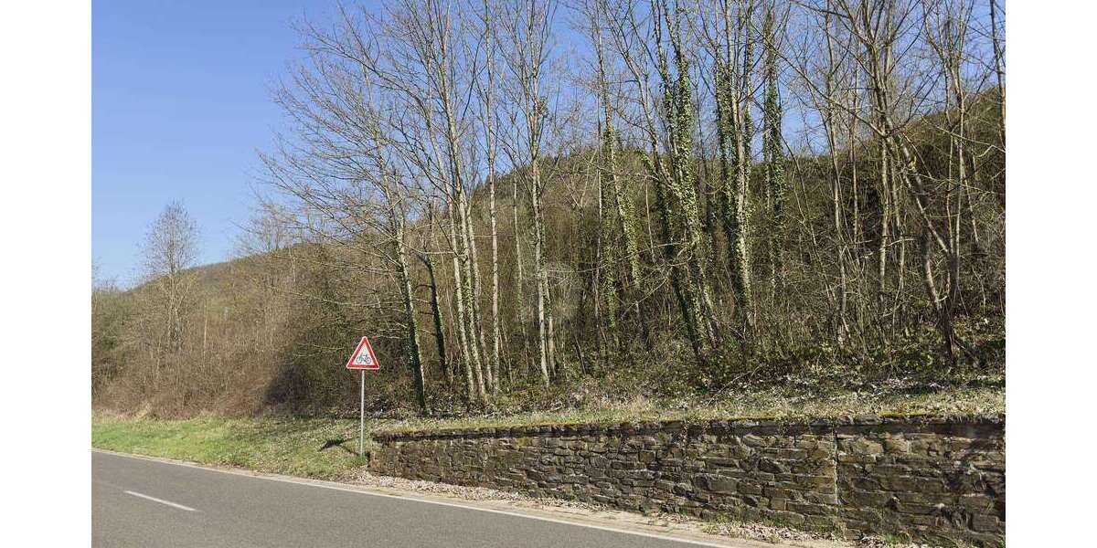 Grundstück Bullay - 49.500&euro; | Angebot:25782008