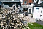 Einfamilienhaus Taunusstein - 8 Zimmer, 224 m&sup2;, 699.000&euro; | Angebot:26442309