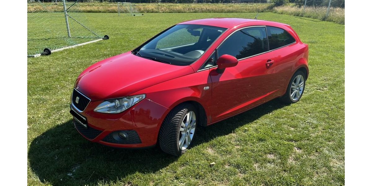 Seat Ibiza 116.100 km 4.099 &euro; Weichs 85258