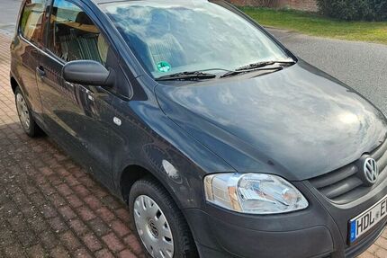 VW Fox