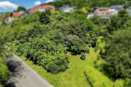 Grundstück zu verkaufen in Mosbach 299.000 € 989 m²