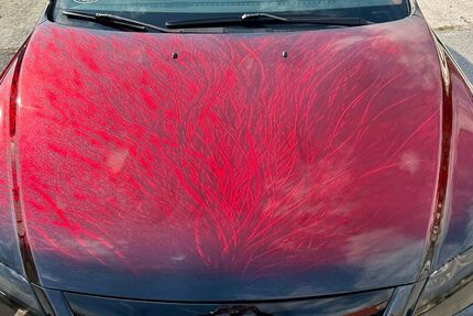 Mazda 6 20.000 km 15.699 &euro; Ingolstadt 85055