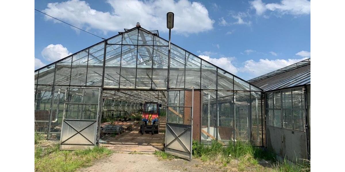 Grundstück Hamburg Wandsbek - 2.500&euro; | Angebot:25881463