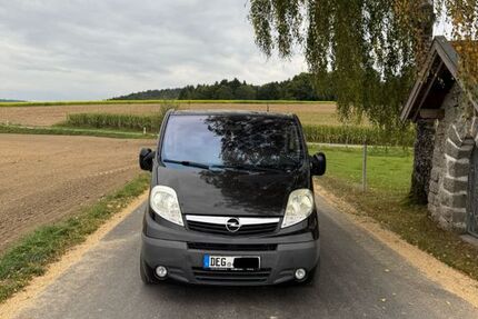 Opel Vivaro 200.000 km 13.000 € Winzer 94577