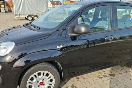 Fiat Panda 28.000 km 8.500 &euro; Syrgenstein 89428