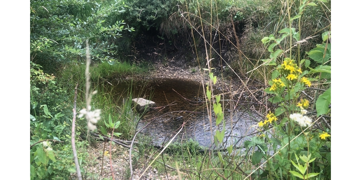 Idyllisches Grundstück am Bachlauf vor den Toren Münchens im schönen Penzberg - Grundstück Penzberg | Angebot:21677304