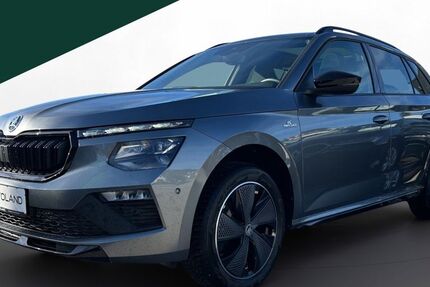 Skoda Kamiq 16.298 km 28.840 &euro; Regen 94209