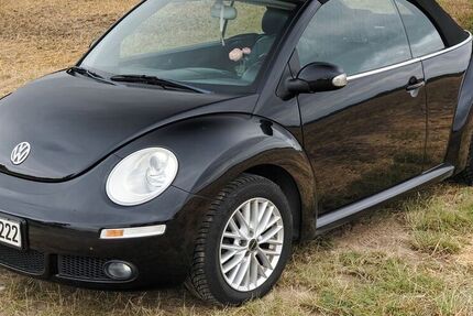 VW Beetle