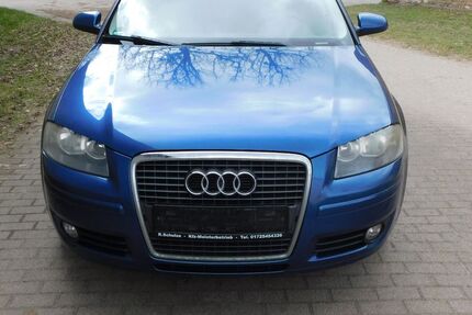 Audi A3 290.000 km 2.900 &euro; Schopsdorf 39291