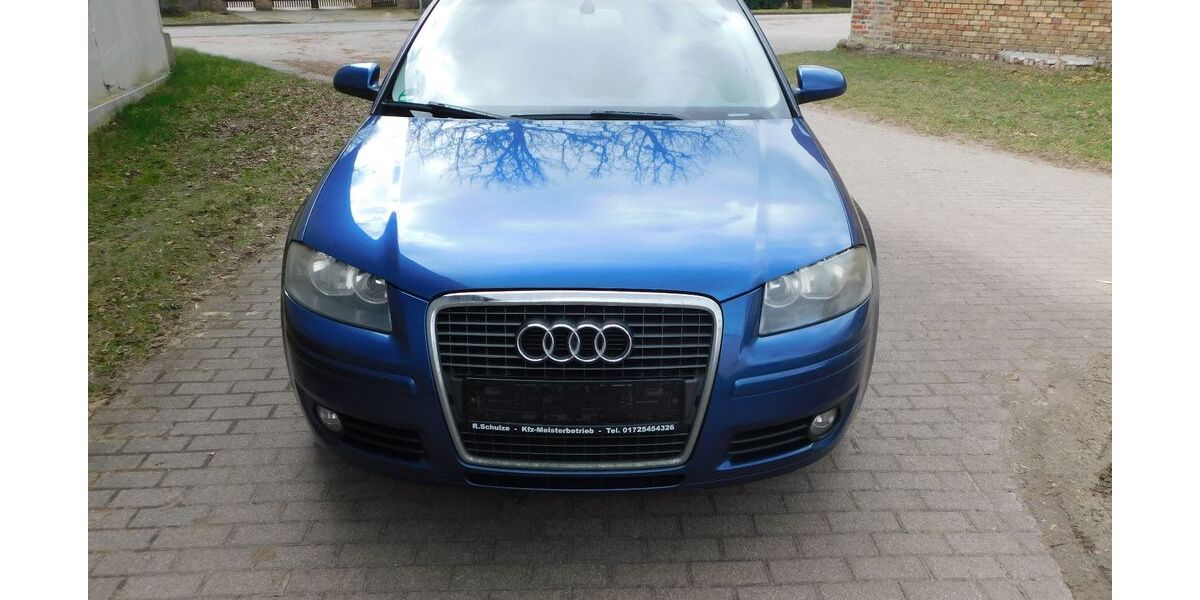 Audi A3 290.000 km 2.900 &euro; Schopsdorf 39291