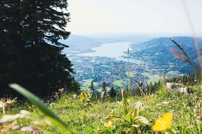Grundstück zu verkaufen in Rottach-Egern 4.950.000 € 1500 m²