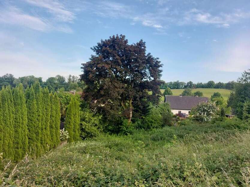 Grundstück zu verkaufen in Reichshof 79.990 € 754 m²