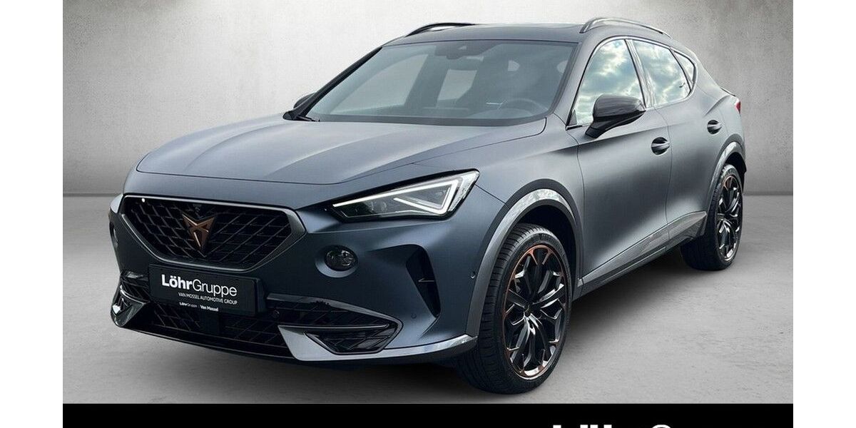 Cupra Formentor 16.592 km 39.480 &euro; Mainz 55120
