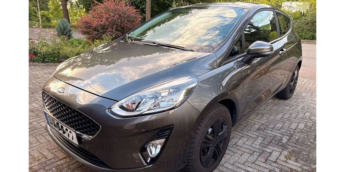 Ford Fiesta 63.603 km 10.700 &euro; Albstadt 72459