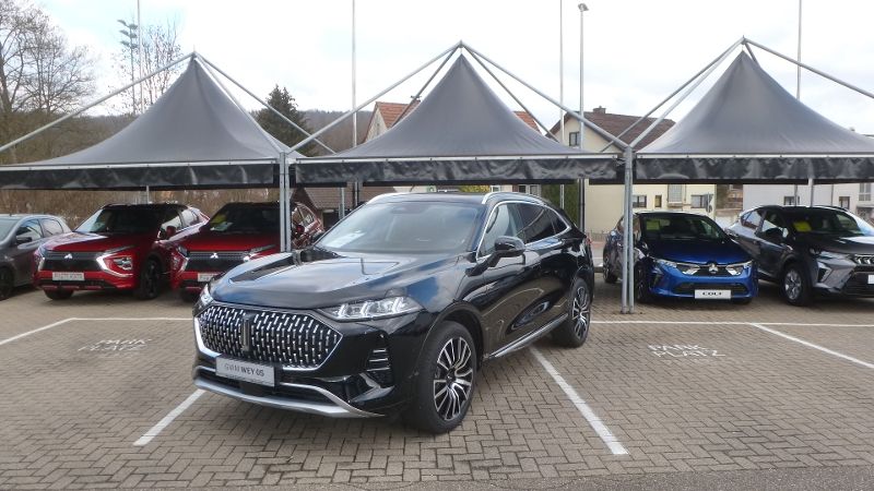 GWM Wey 05 2.500 km 58.450 € Bammental 69245