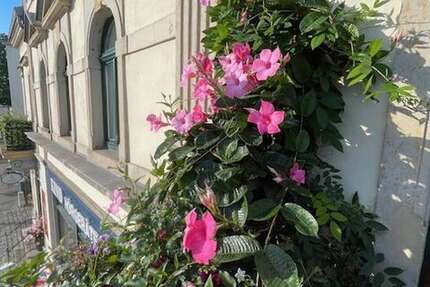 Zimmer Dresden Laubegast - 4 Zimmer, 1.400&euro; | Angebot:26217072