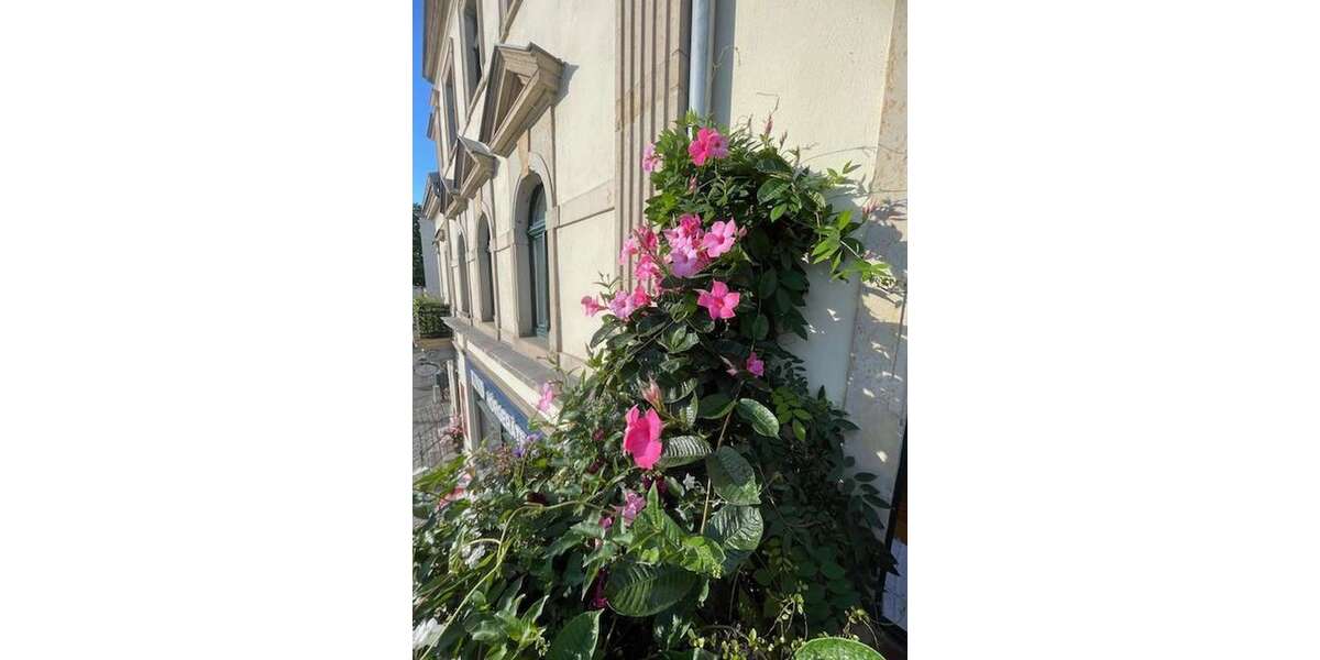 Zimmer Dresden Laubegast - 4 Zimmer, 1.400&euro; | Angebot:26217072