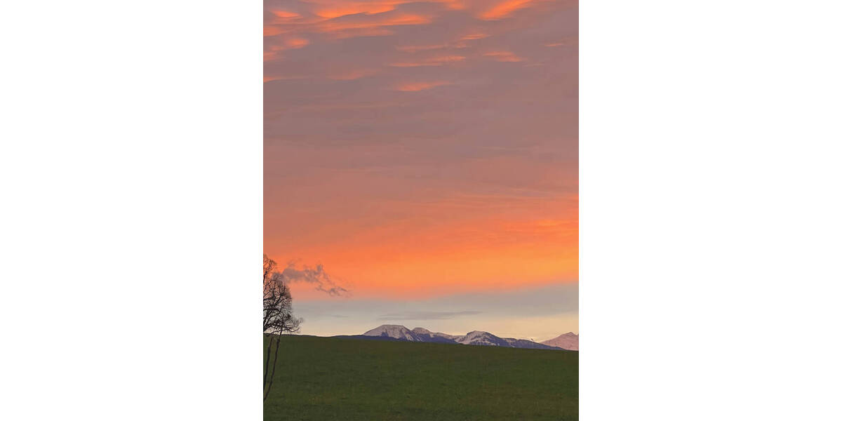 Doppelhaushälfte Holzkirchen - 5 Zimmer, 200 m&sup2;, 1.145.000&euro; | Angebot:26358671