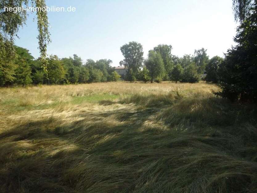Grundstück in Möser OT Schermen 160.000 € 4000 m²