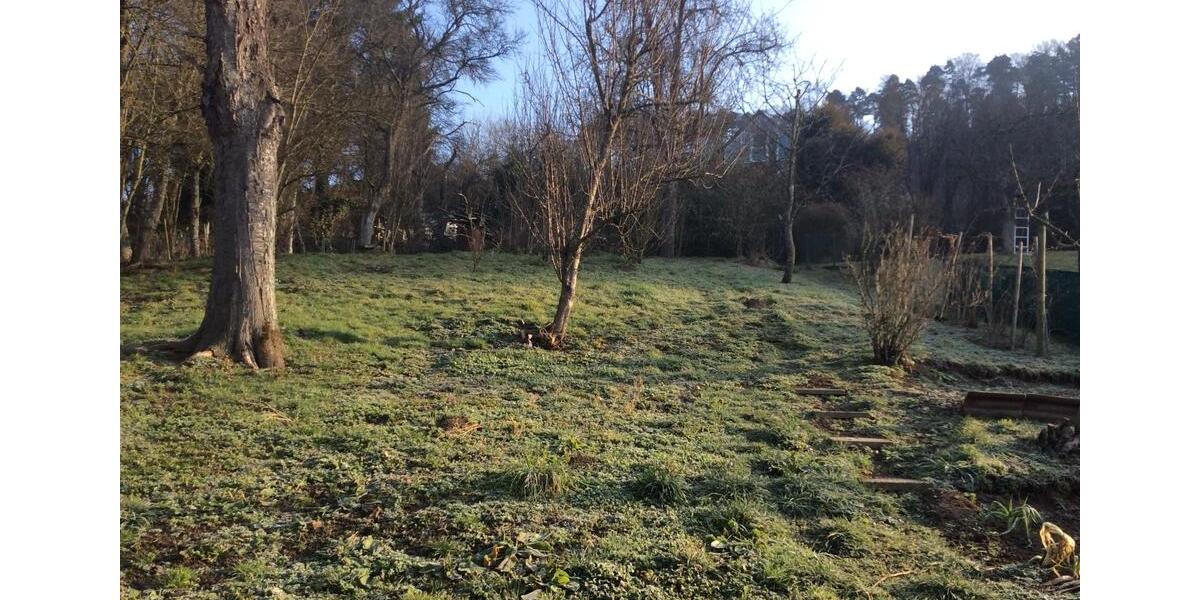 Einfamilienhaus Eigeltingen - 4 Zimmer, 80 m&sup2;, 750&euro; | Angebot:25291422