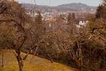 Charmantes Haus mit Garten & Veste-Blick – für WG oder Familien zimmer