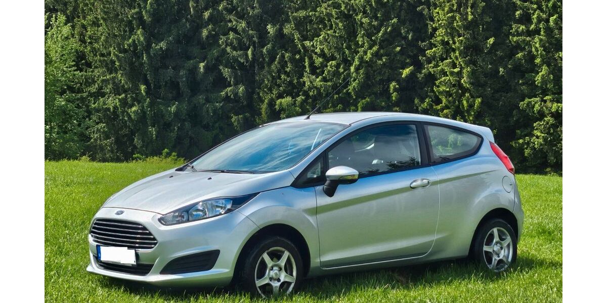 Ford Fiesta 39.365 km 6.650 &euro; Reinsfeld 54421