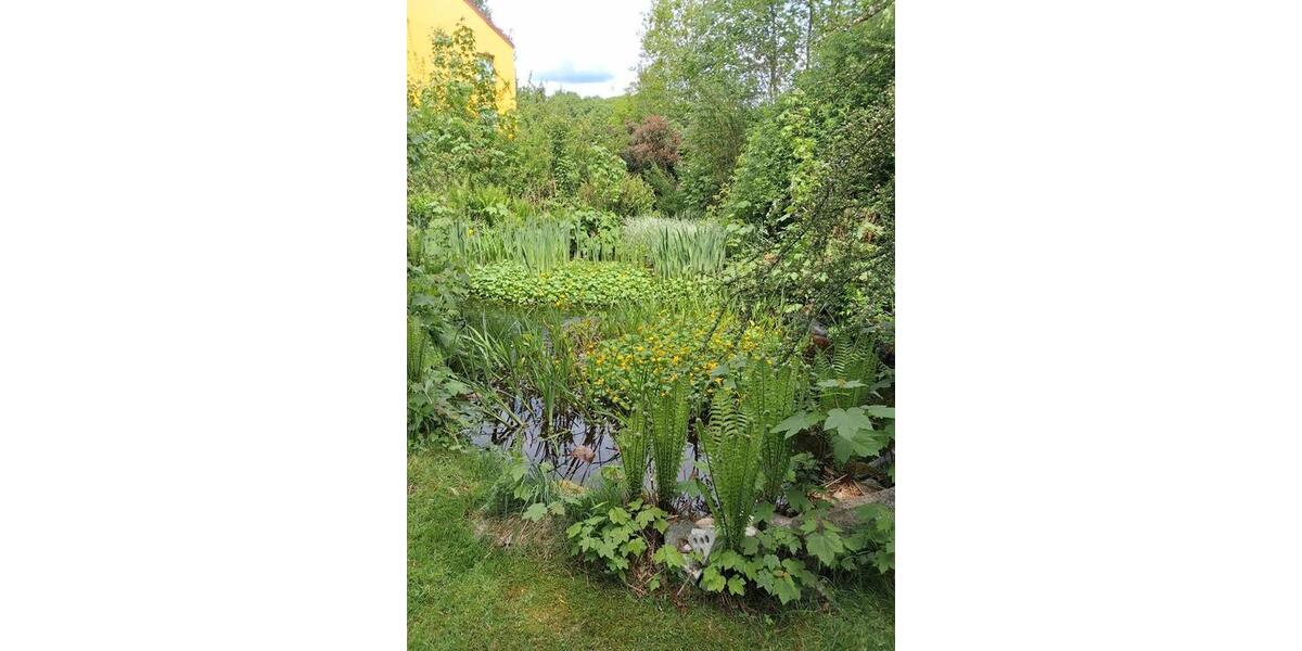 Einfamilienhaus Bergen - 7 Zimmer, 160 m&sup2;, 390.000&euro; | Angebot:26703925