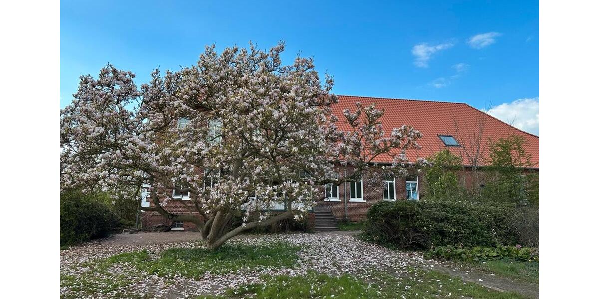Erdgeschoßwohnung Schwarmstedt - 2 Zimmer, 55 m&sup2;, 580&euro; | Angebot:26327330