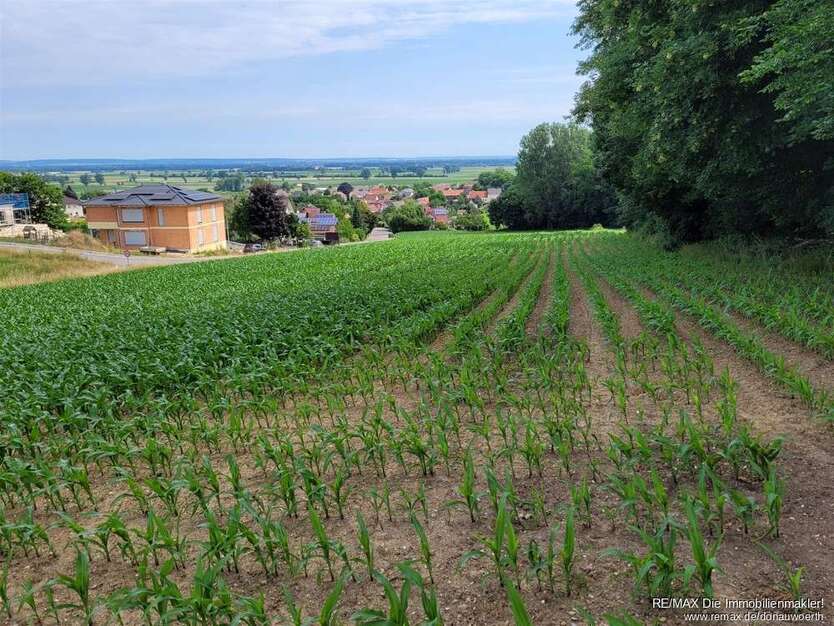 Grundstück zu verkaufen in Holzheim 485.000 € 7680 m²