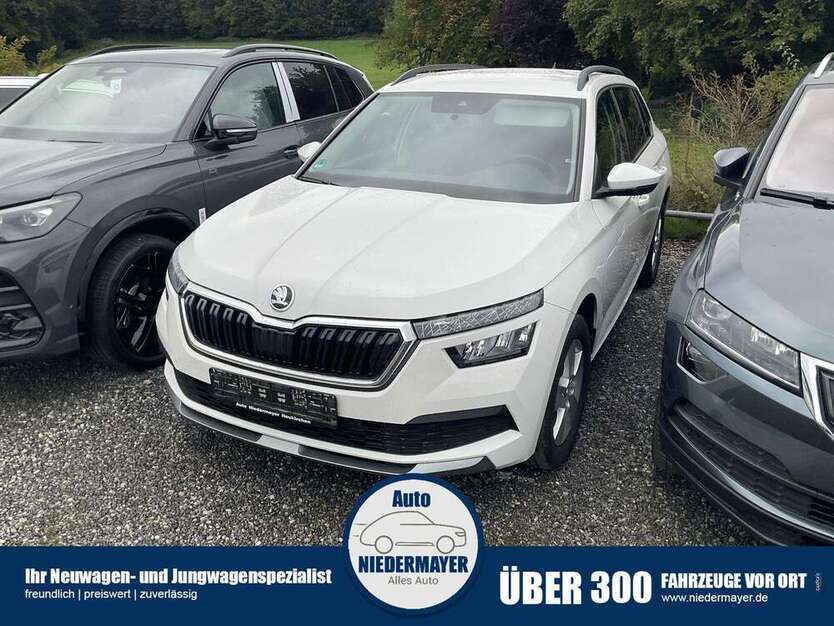 Skoda Kamiq 44.500 km 16.995 € Neukirchen 94362