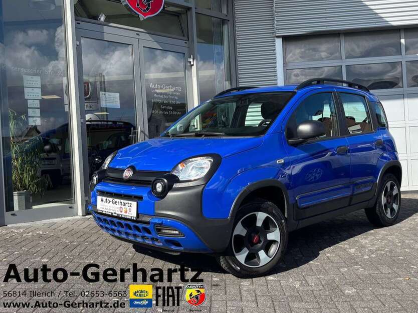 Panda